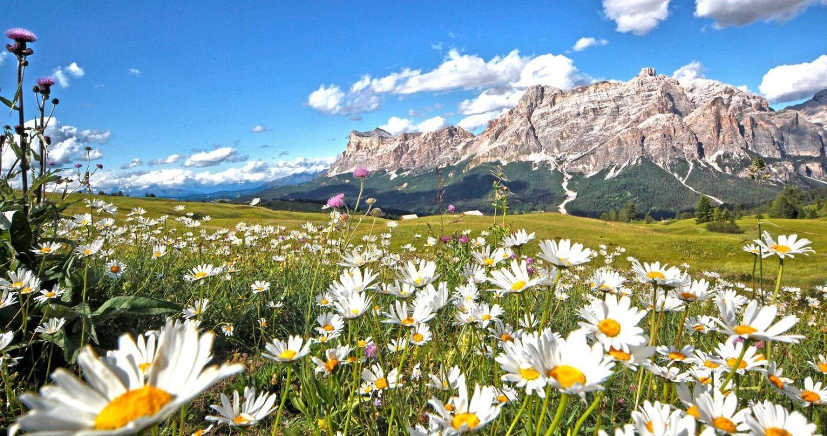 Ciasa Rosra Daire La Villa  Dış mekan fotoğraf